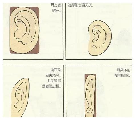 耳朵細 面相|十六种耳朵面相图文分析三六风水网